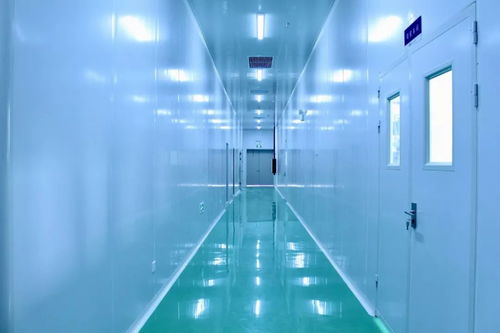 科技赋能 银离子抗菌技术如何提升运动品牌竞争力